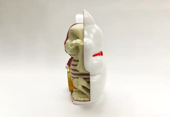 4D Master 4寸小号熊猫款招财猫- zFrontier 装备前线