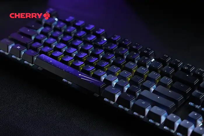 Cherry 樱桃MX8.2 Xaga 曜石RGB 无线三模机械键盘- zFrontier 装备前线