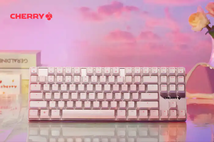 Cherry 樱桃MX8.2 Xaga 曜石RGB 无线三模机械键盘- zFrontier 装备前线