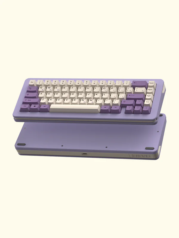 Backspace 退格Oasis 65 三模机械键盘套件- zFrontier 装备前线