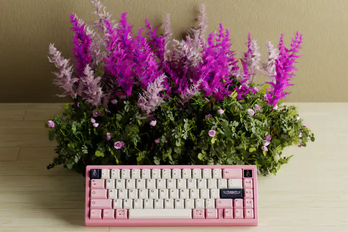 Meletrix Zoom65 V3 丘比特联名款客制化机械键盘套件- zFrontier 装备前线