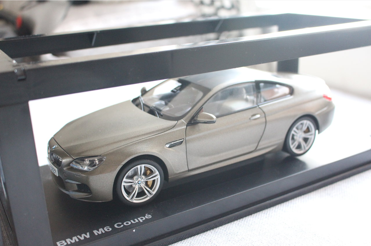 BMW M6 F13M Coupe Frozen Bronze 1/18 Diecast Model Car by Paragon