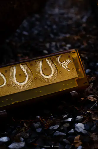 snake 60 fossil edition——琥珀时光- zFrontier 装备前线