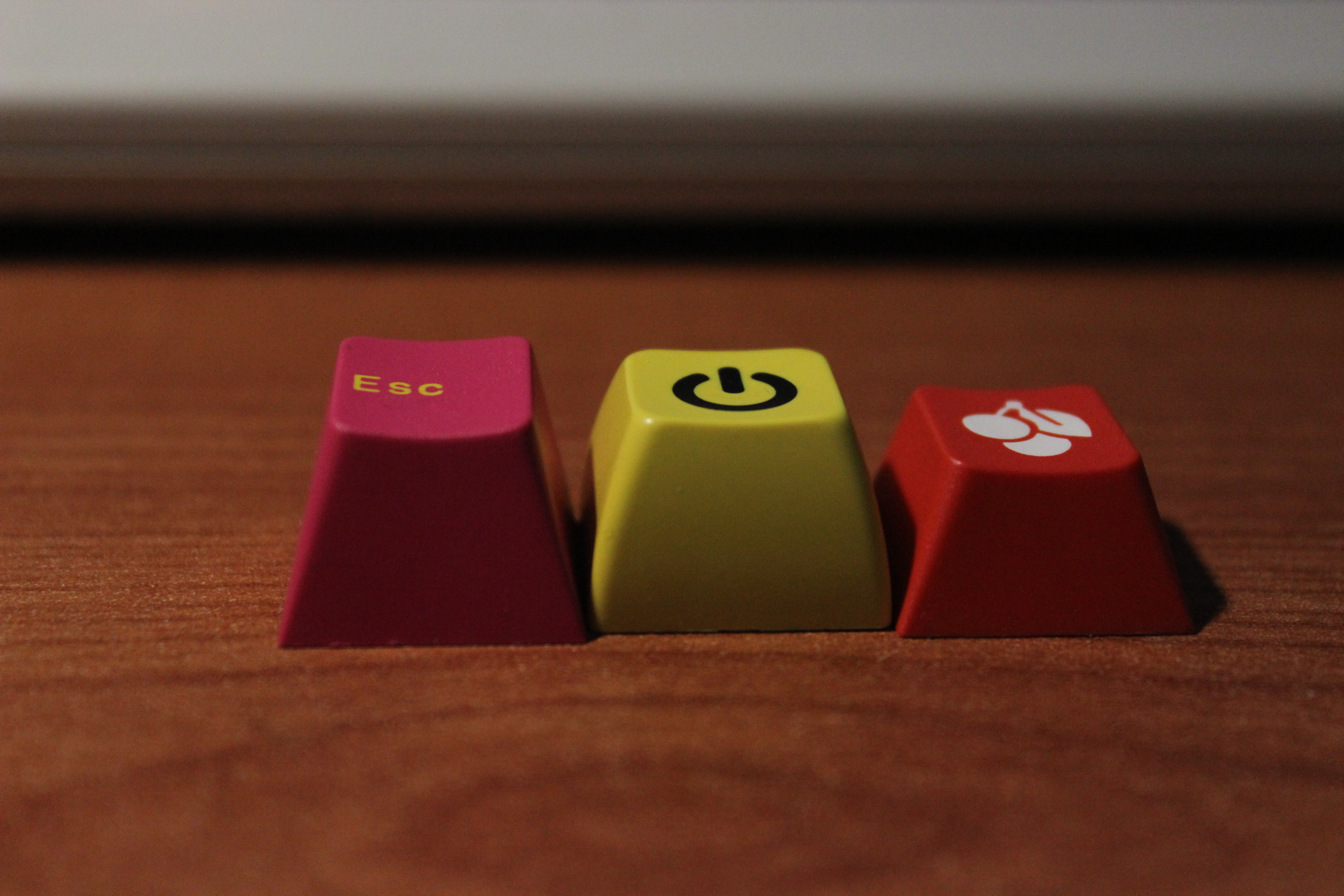 绝望的爱 法兰西国花 Zfrontier 装备前线