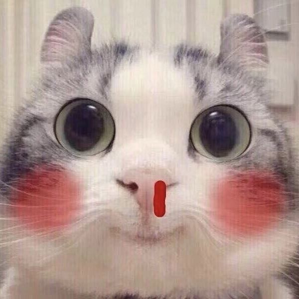 想尝试稍重的茶轴有没有好的推荐呢