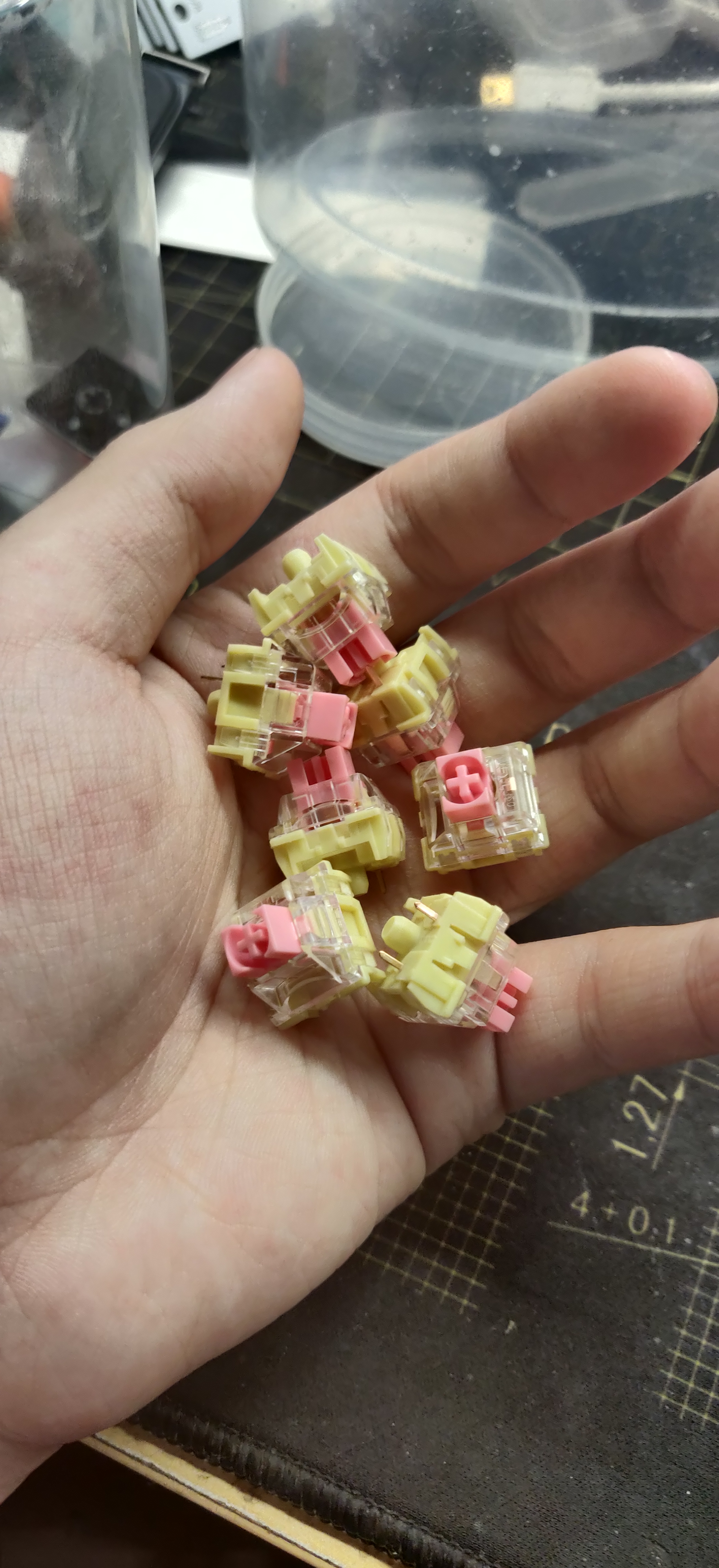 ttc金粉轴首发上手