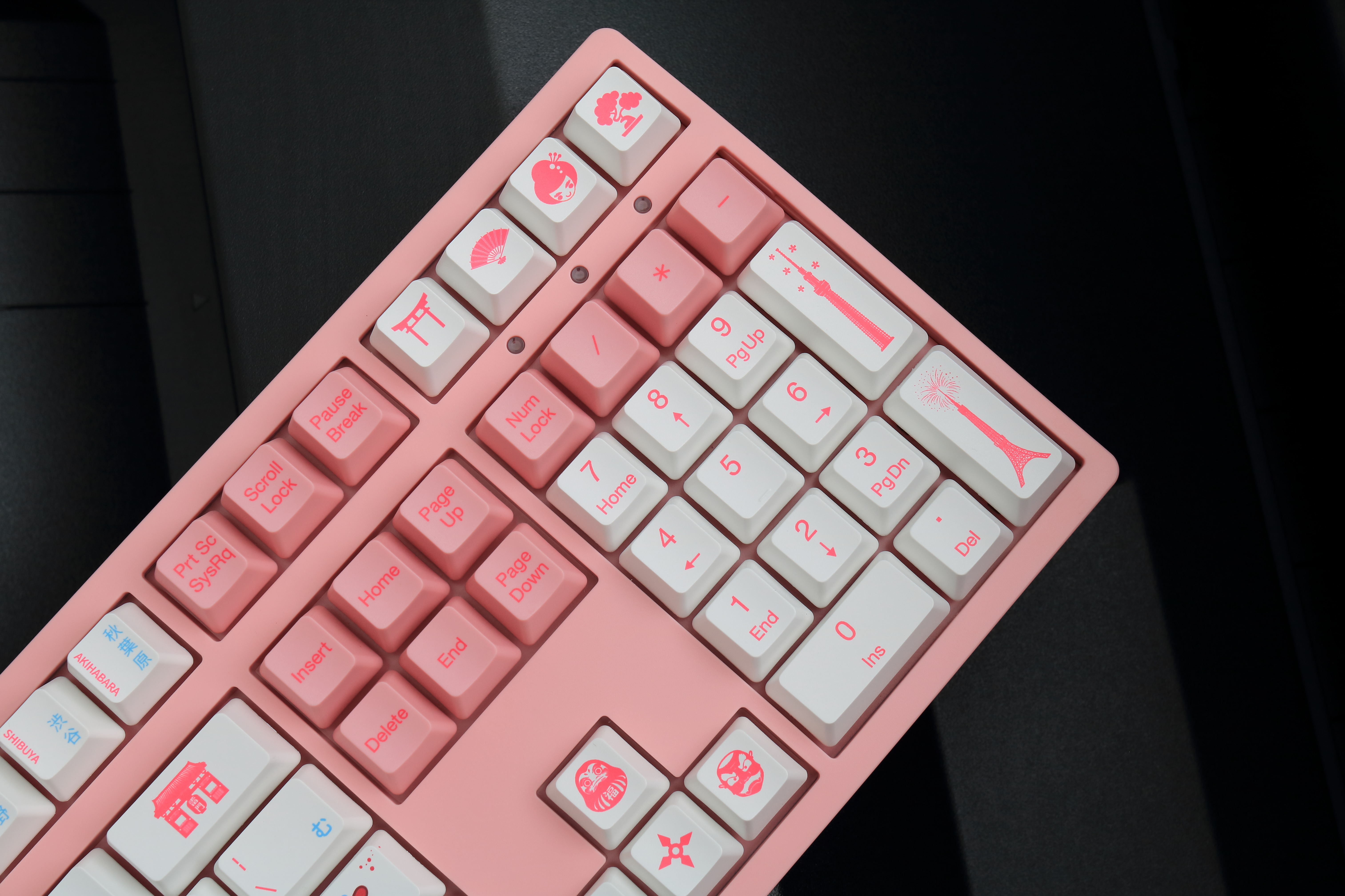 akko3108v2富士山樱花日语版东京r2