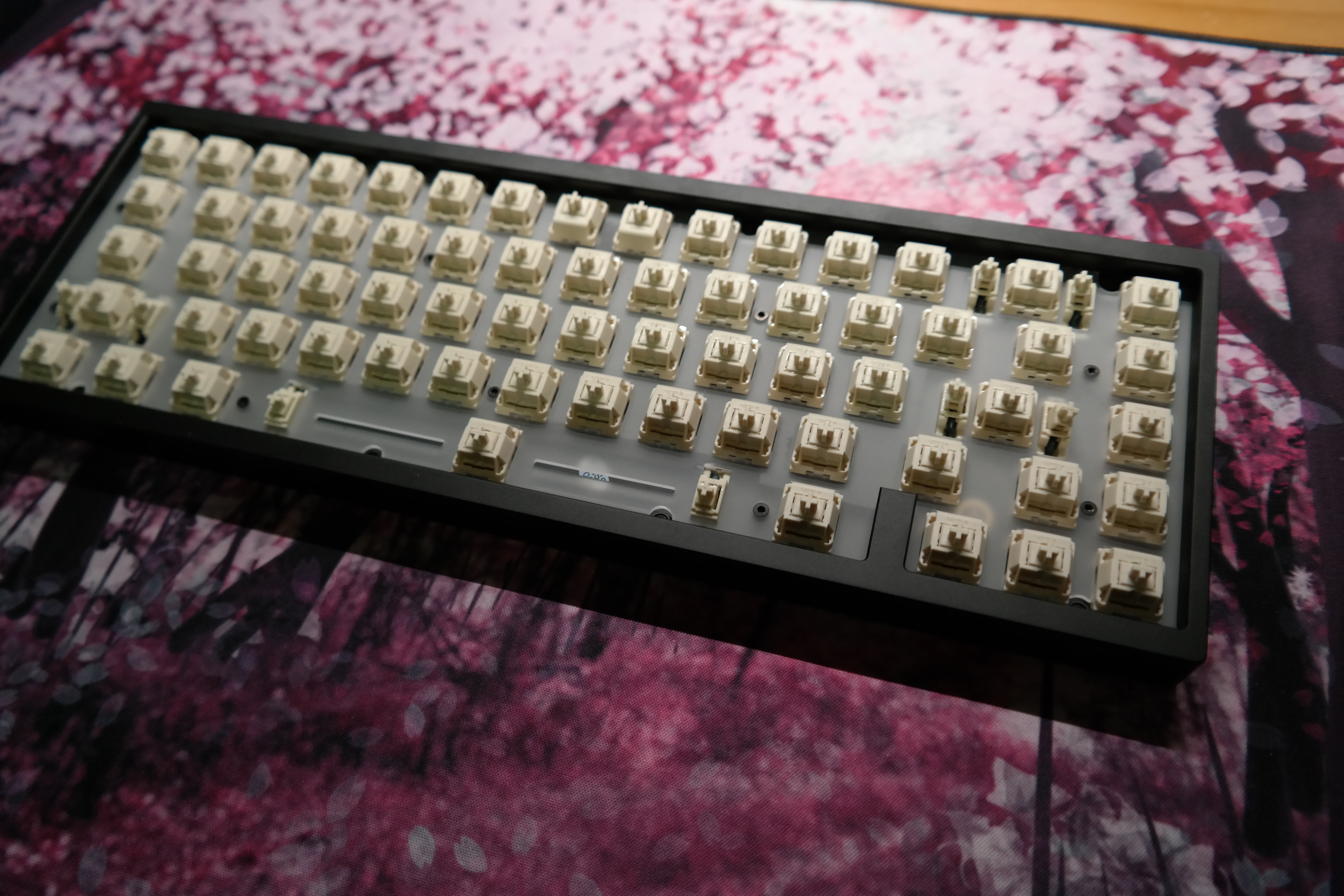 VEGA Keyboard (A-Stock) 未使用/未組立 + Extras 日本最大のブランド