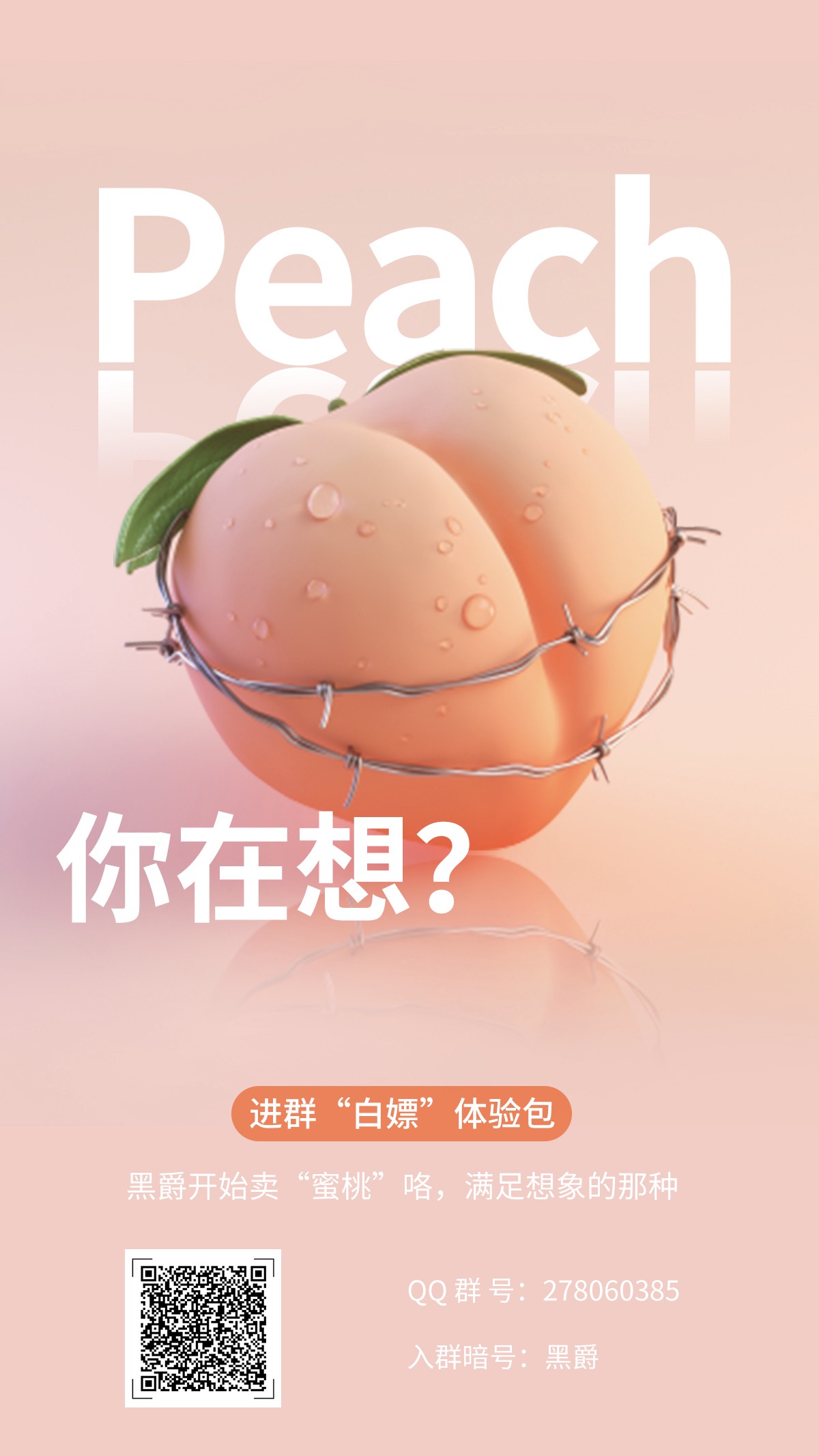 发车预告 蜜桃轴 黑爵首款客制化线性轴 Zfrontier 装备前线