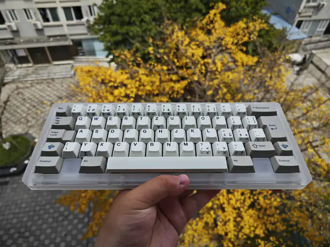 2面孔雀 CRP孔雀&Rule60 - zFrontier 装备前线