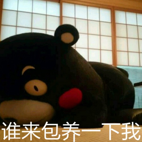 upload image
