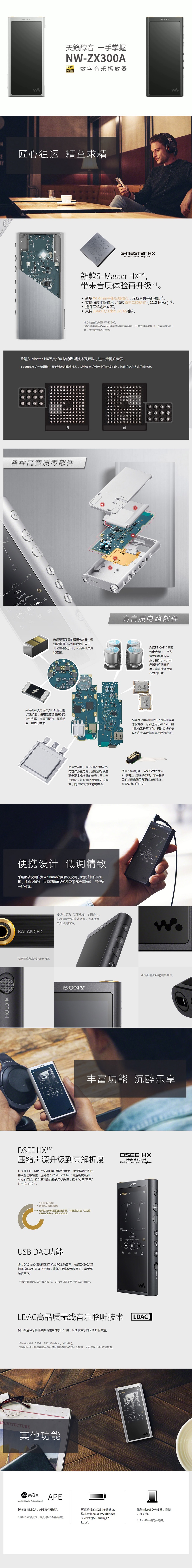 SONY 索尼NW-ZX300A 无损音乐播放器- zFrontier 装备前线